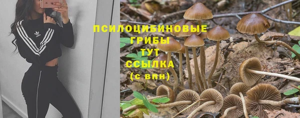 гидра Балахна